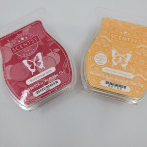Scentsy wax Melts